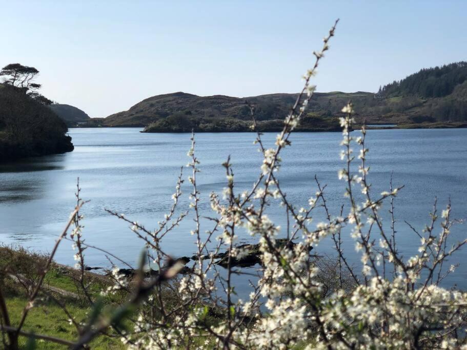 Lough Hyne Cottage Skibbereen Exterior photo